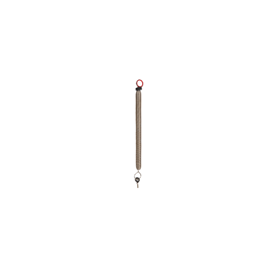 Single Spring